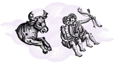 Byk i Bliźnięta - kompatybilność w horoskopie partnerskim