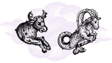 Byk i Koziorożec - kompatybilność w horoskopie partnerskim