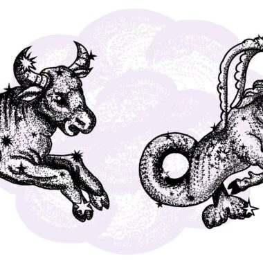 Byk i Koziorożec - kompatybilność w horoskopie partnerskim
