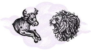 Byk i Lew - kompatybilność w horoskopie partnerskim