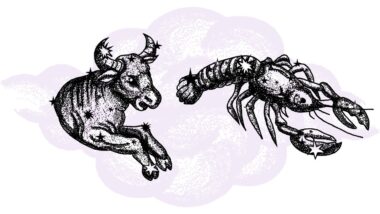 Byk i Rak - kompatybilność w horoskopie partnerskim