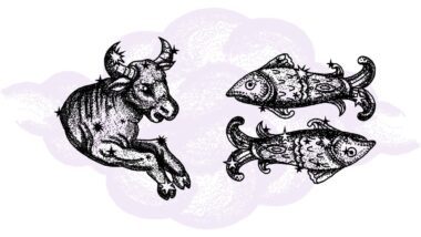 Byk i Ryby - kompatybilność w horoskopie partnerskim