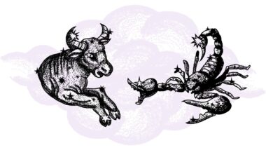 Byk i Skorpion - kompatybilność w horoskopie partnerskim