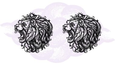 Lew i Lew - kompatybilność w horoskopie partnerskim