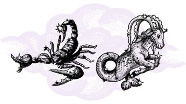 Skorpion i Koziorożec - kompatybilność w horoskopie partnerskim