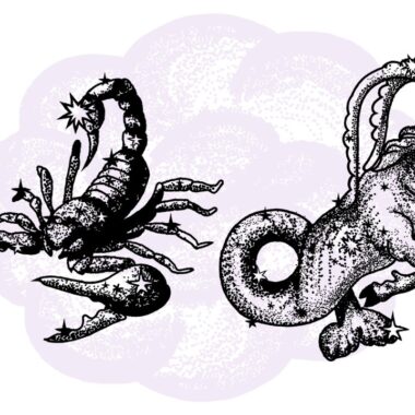 Skorpion i Koziorożec - kompatybilność w horoskopie partnerskim