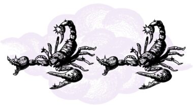 Skorpion i Skorpion - kompatybilność w horoskopie partnerskim
