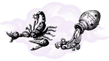 Skorpion i Wodnik - kompatybilność w horoskopie partnerskim